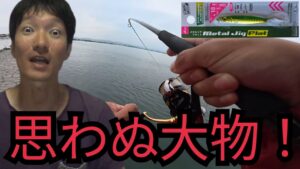 10月の浜名湖海釣り公園T字堤防で釣りしたら⋯