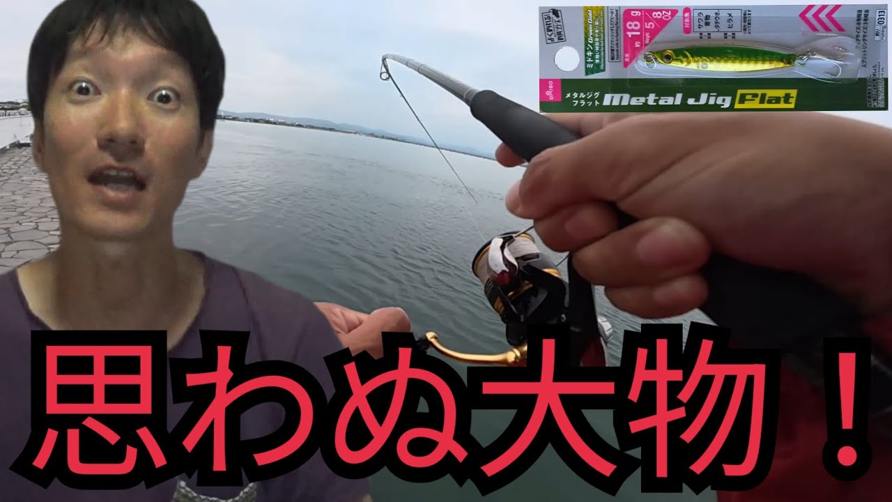 10月の浜名湖海釣り公園T字堤防で釣りしたら⋯