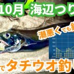 【10月最新！】潮悪い日のタチウオ実釣調査！【小潮】横須賀市海辺つり公園｜#vlog #釣り初心者 #横須賀 #ショアジギング #coreman #太刀魚 #イナダ #ショゴ #神奈川 #海釣り