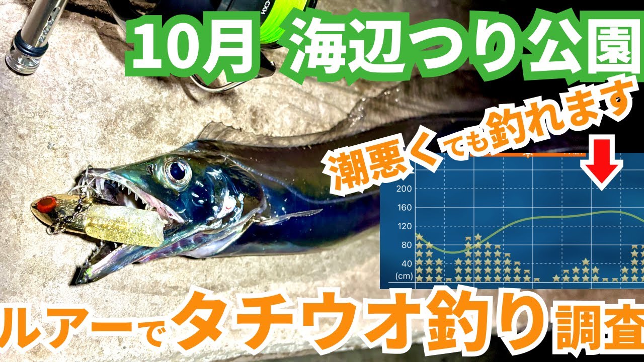 【10月最新!】潮悪い日のタチウオ実釣調査!【小潮】横須賀市海辺つり公園|#vlog #釣り初心者 #横須賀 #ショアジギング #coreman #太刀魚 #イナダ #ショゴ #神奈川 #海釣り