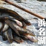 【秋ハゼ】景色の良い浜名湖でハゼ釣りをやると1時間程で案外釣れてくれました🐟in浜名湖【釣行日2025/10/17(金)】
