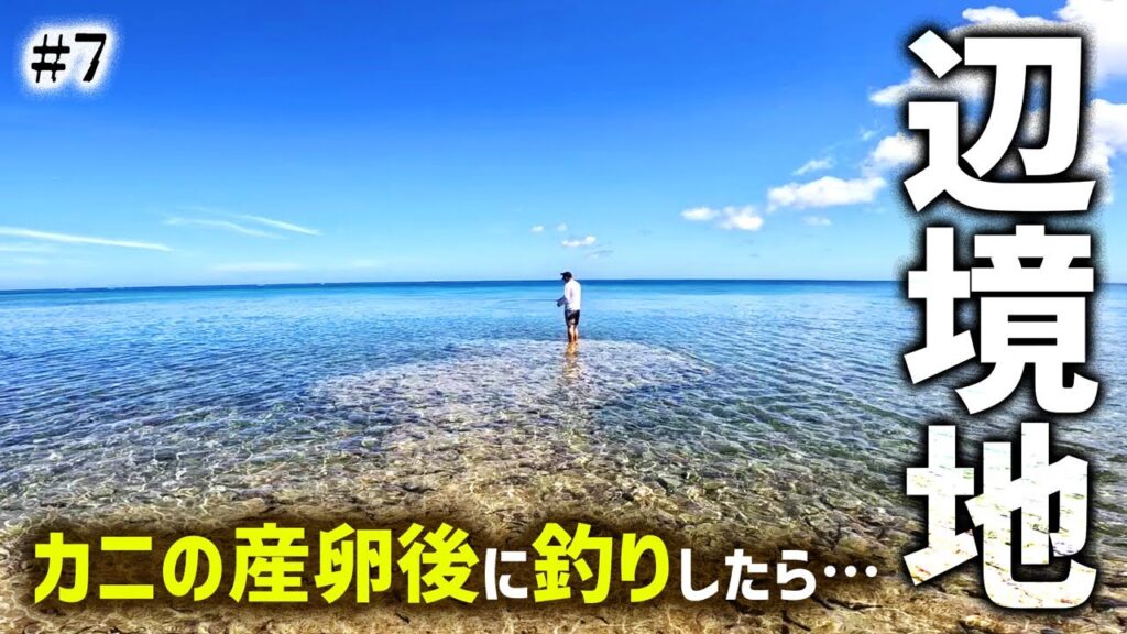 カニの産卵後の海で釣りしたら「ある魚」が釣れる説!?【ナイフ1本でサバイバル生活in2025夏#7】