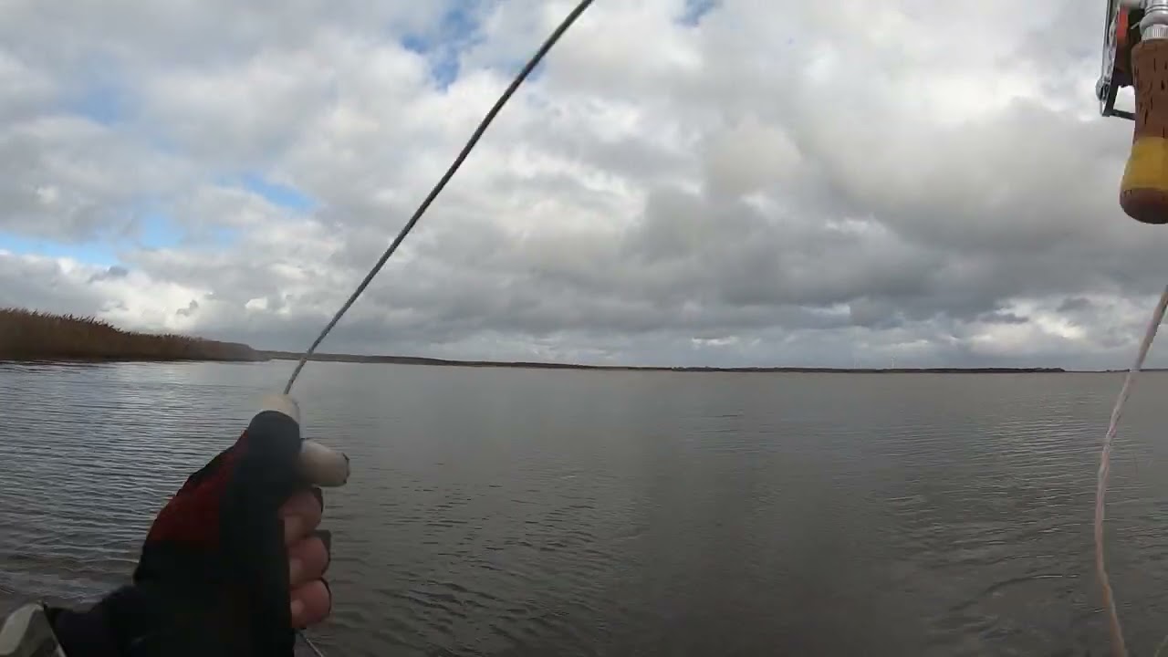 記録用ポロ沼2 釣り