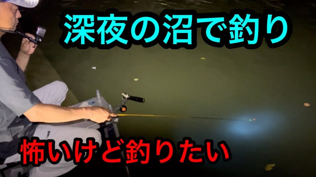 「深夜の沼で釣り」怖いけど釣りたい2024.8.10