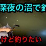 「深夜の沼で釣り」怖いけど釣りたい2024.8.10