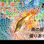 【湯ノ湖】2025シーズン最終戦 噂のあの魚も釣ったよ!!