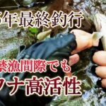 【渓流釣り】禁漁間際でもイワナが大活性～木曽川～2025年最終釣行