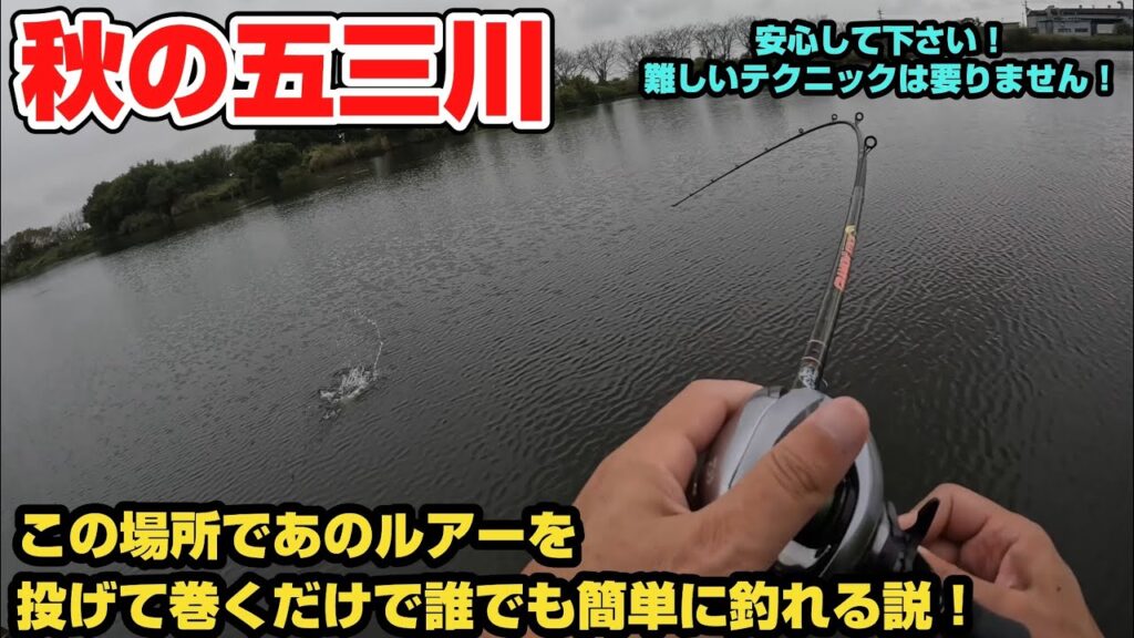 2025 10/12  大江川&五三川　秋のバスフィッシングはこの釣り方が最強だと思う！