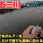 2025 10/12  大江川&五三川　秋のバスフィッシングはこの釣り方が最強だと思う！