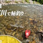 徳島県海部川で鮎釣り【2025.0823】