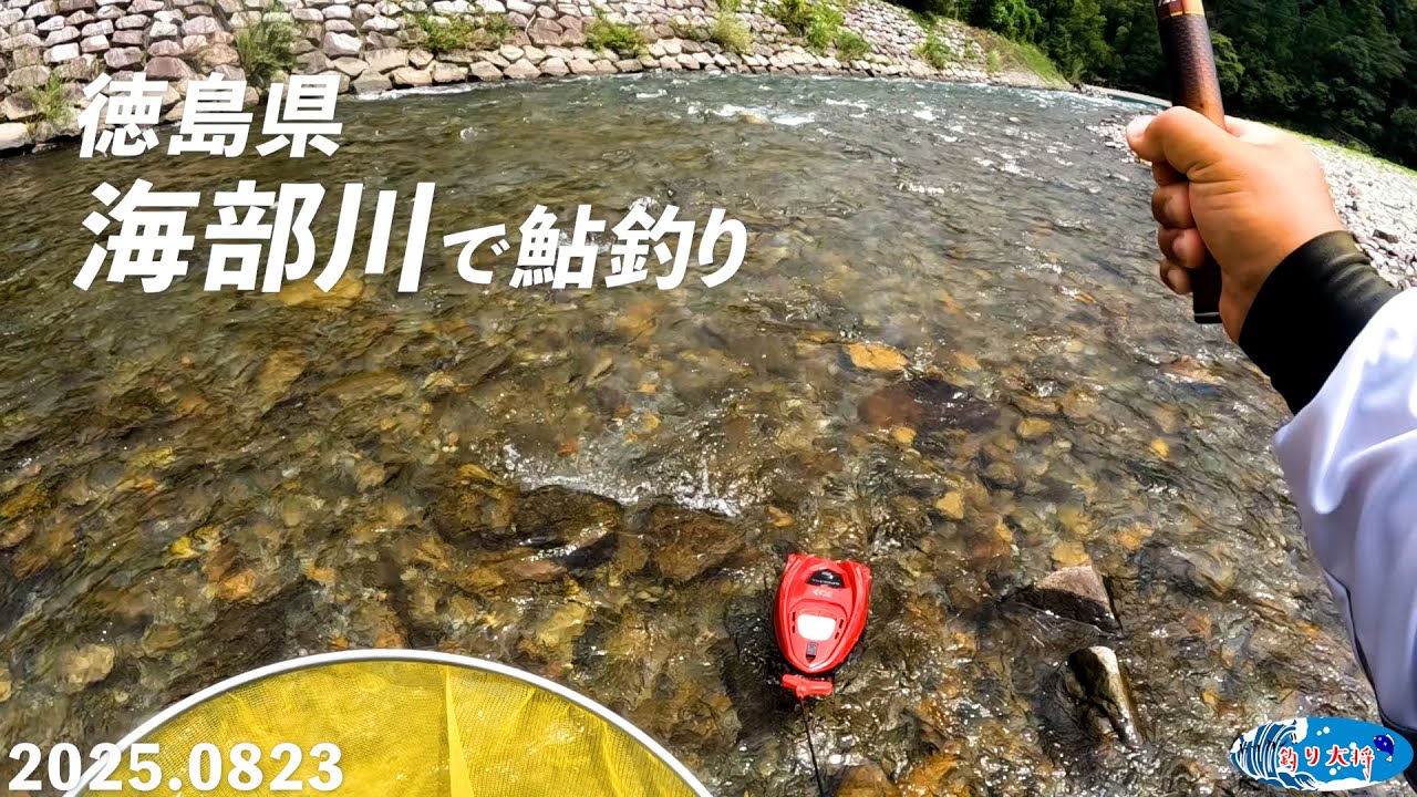 徳島県海部川で鮎釣り【2025.0823】