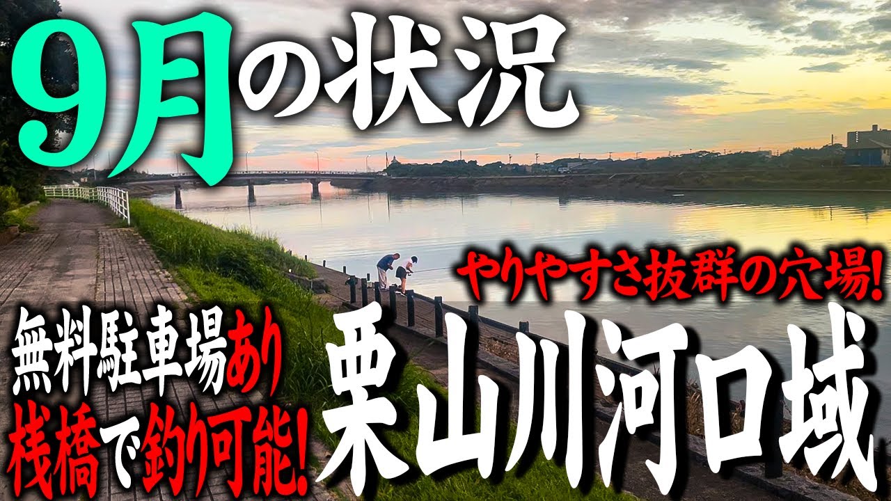 【栗山川河口域】駐車場・トイレ完備！釣り人に優しい穴場スポット！実釣前にご覧ください。～2025.09.29～
