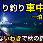 【福島釣り】いわきで秋の釣り旅！地元釣り師の集まる港で竿を出す！2025.10