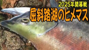 2025.10.3 2025年 屈斜路湖のヒメマス釣り開幕戦 つり部会ガイドサービス #屈斜路湖のヒメマス釣り#ヒメマス