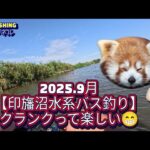 2025.9月【印旛沼水系バス釣り】クランクを沢山投げてみた。《超減水》