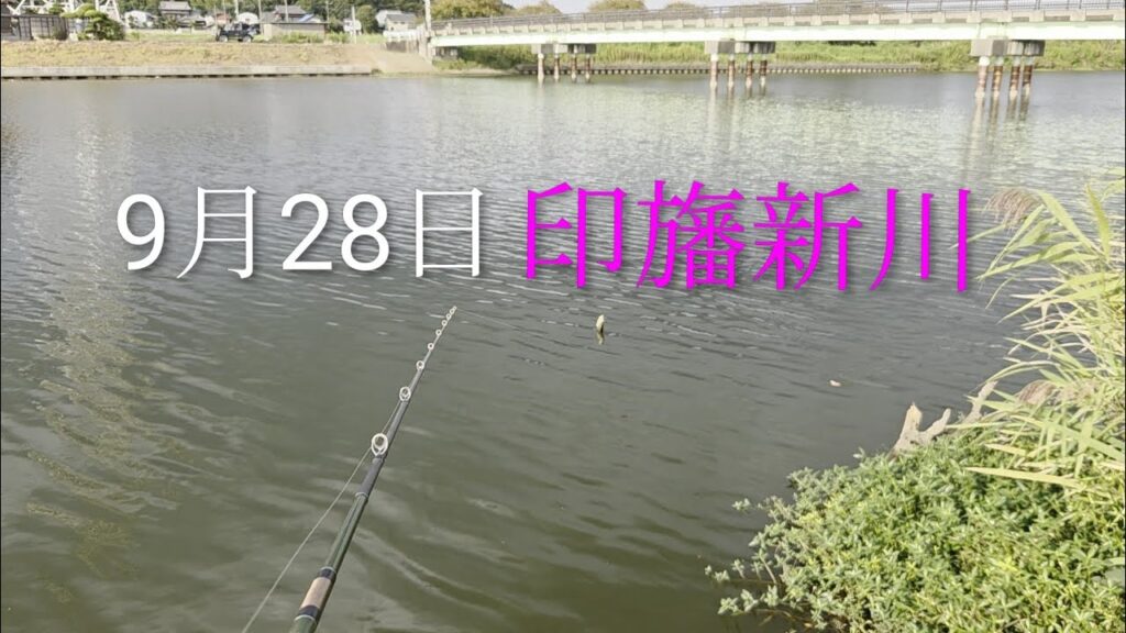 印旛沼水系　印旛新川バス釣り？2025.9.28