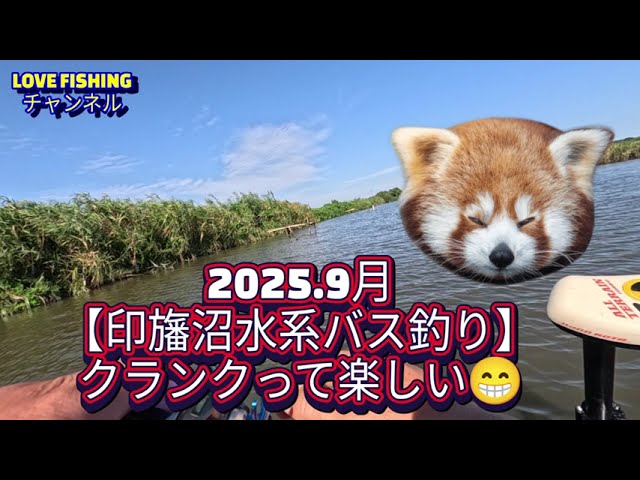 2025.9月【印旛沼水系バス釣り】クランクを沢山投げてみた。《超減水》