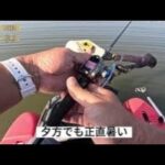 2025.9月【印旛沼水系バス釣り】16時から釣りしたらどうなの？