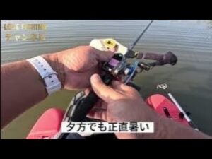 2025.9月【印旛沼水系バス釣り】16時から釣りしたらどうなの？