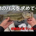 2025年10月初旬　【バス釣り】印旛沼水系ランガン編２　俺のバスを求めて　どうぞ〜！