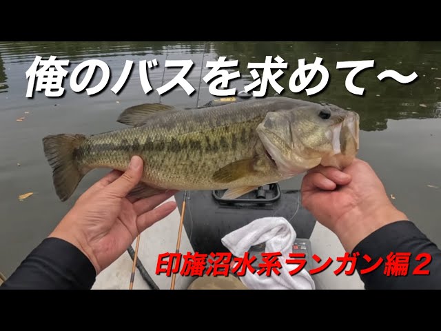 2025年10月初旬　【バス釣り】印旛沼水系ランガン編２　俺のバスを求めて　どうぞ〜！