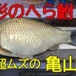 亀山湖・笹川④　へら鮒釣り　2025年10月