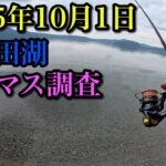 【2025年10月1日】十和田湖ヒメマス接岸調査【今年は豊漁か⁉︎】