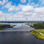 佐倉市 西印旛沼 ドローン 空撮 2025年10月5日