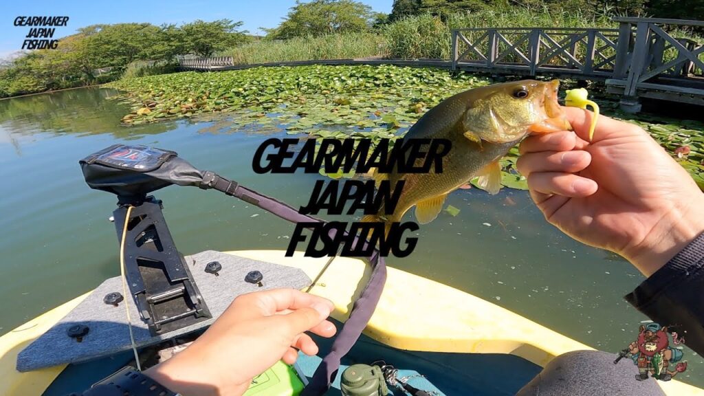 【上野沼】バス釣り 2025年8月中旬 #野良ネズミ