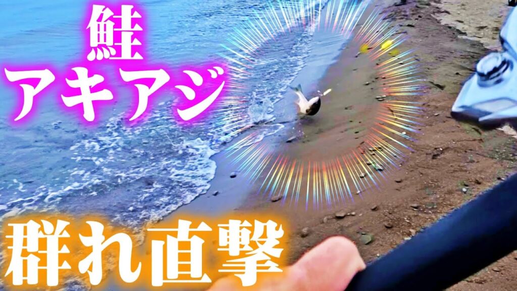 【鮭釣り北海道】アキアジ・たくさんの群れ直撃：2025年9末