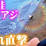 【鮭釣り北海道】アキアジ・たくさんの群れ直撃：2025年9末