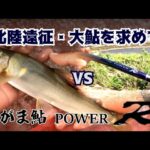 2025・9月上旬・富山小矢部川＆北陸鮎釣りの旅～大鮎を求めて～