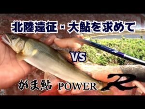 2025・9月上旬・富山小矢部川&北陸鮎釣りの旅~大鮎を求めて~