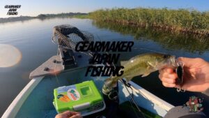 【多々良沼】バス釣り 2025年9月上旬  #チビログ #ARA1200 #満水期