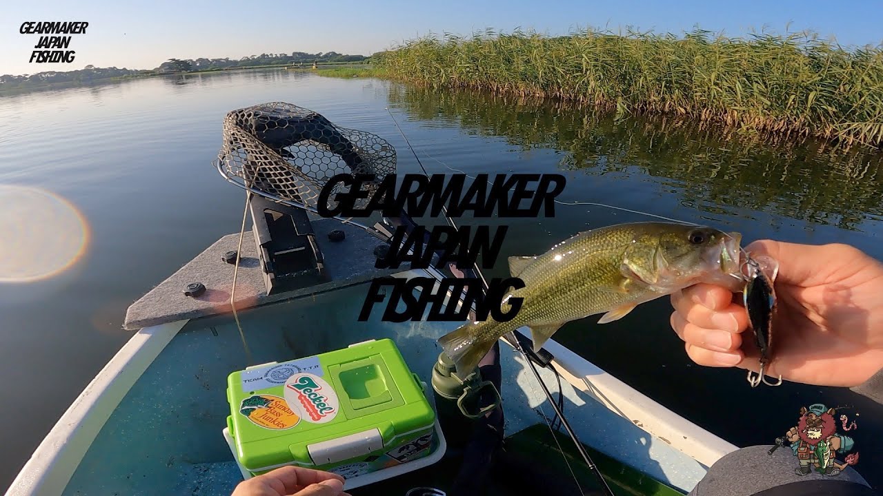 【多々良沼】バス釣り 2025年9月上旬 #チビログ #ARA1200 #満水期