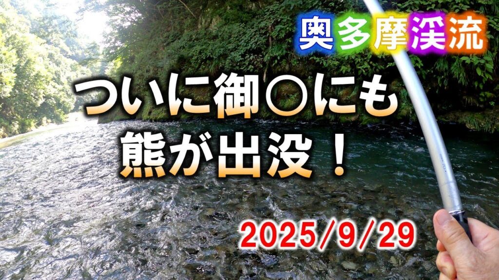 秋の奥多摩渓流釣り。地元釣り師から１週間前に熊出没の話を聞かされる。大丹波川に続き・・・他人事ではなくなった。2025/9/29