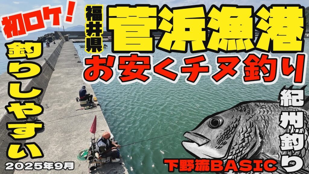 釣りしやすい！福井県菅浜漁港でお安くチヌ釣り　2025年9月【下野流BASIC 】下野正希　黒鯛　海釣り　福井県チヌ釣り　日本海チヌ釣り　ヌカダンゴ　チヌダンゴ　紀州釣り