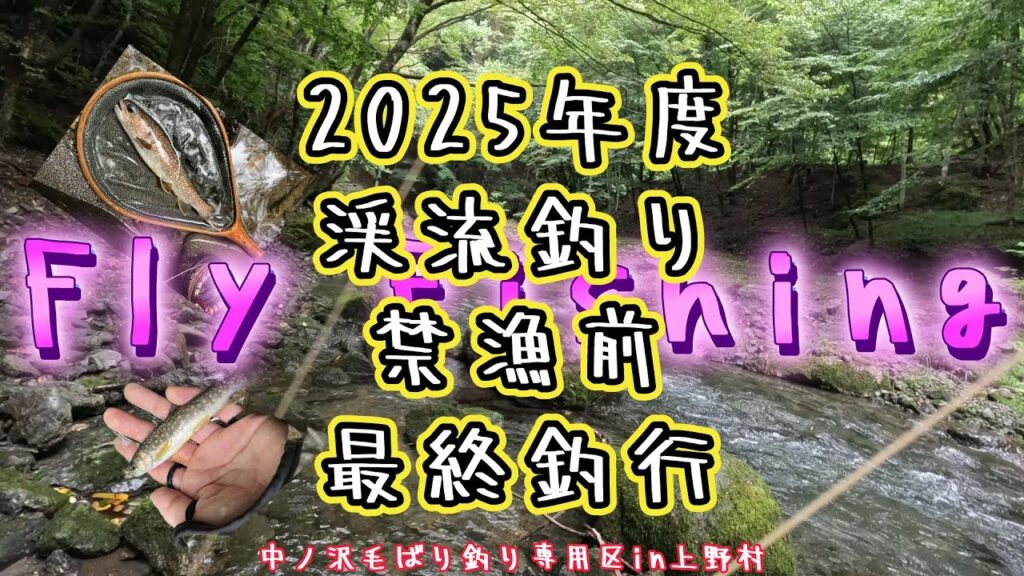 【フライフィッシング】2025年度渓流釣り最終釣行～中ノ沢毛ばり釣り専用区in上野村～