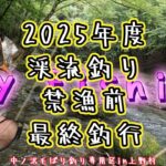 【フライフィッシング】2025年度渓流釣り最終釣行～中ノ沢毛ばり釣り専用区in上野村～
