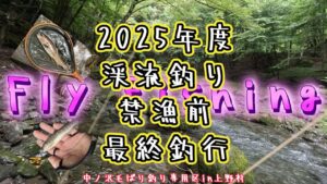【フライフィッシング】2025年度渓流釣り最終釣行～中ノ沢毛ばり釣り専用区in上野村～