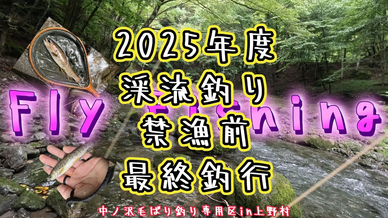 【フライフィッシング】2025年度渓流釣り最終釣行～中ノ沢毛ばり釣り専用区in上野村～