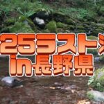 【渓流釣り】2025ラスト渓流でルアーとエサの二刀流しましたin長野県