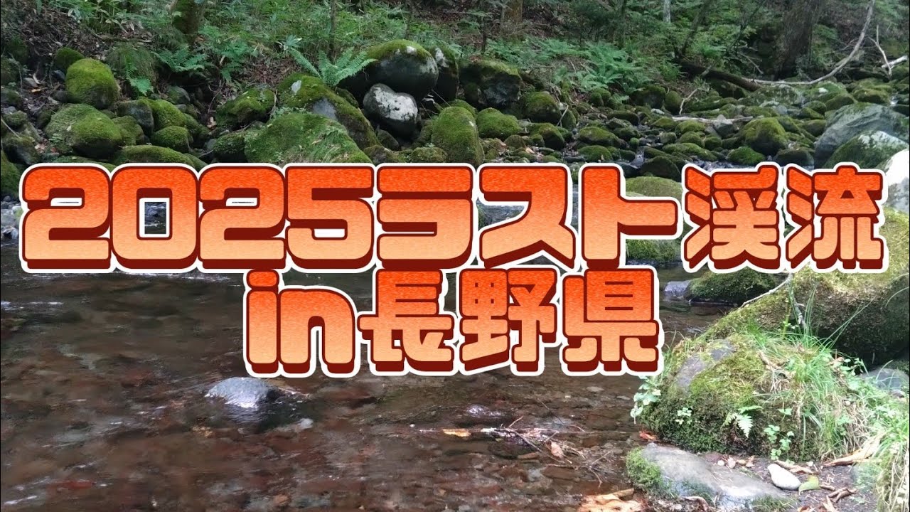 【渓流釣り】2025ラスト渓流でルアーとエサの二刀流しましたin長野県
