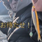 2026シーズン開幕！やっとワカサギ釣り出来たよ#わかさぎ釣り#桧原湖#小野川湖#秋元湖#裏磐梯