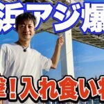 【大黒ふ頭西緑地】20cm超のアジが足元サビキ釣りで入れ食い状態！この潮を狙って！