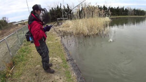【茨城バス釣り】♯2冬の管理釣り場で数釣り!二人で100本超えろ!♯2