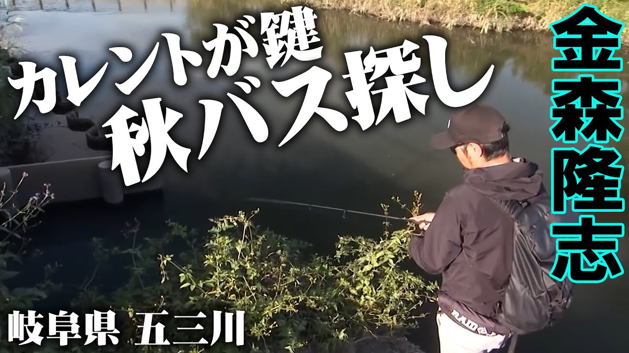 金森隆志が「カレント」を鍵に秋の五三川で釣れる法則を解き明かす 2/2 『Make?! 26』【釣りビジョン】