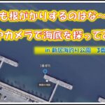 新居海釣り公園　3番堤防　水中を探る！浜名湖　釣り