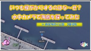 新居海釣り公園　3番堤防　水中を探る！浜名湖　釣り