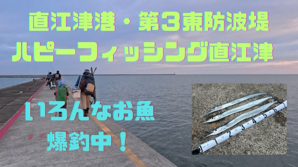 人気の管理釣り場は凄かった！【ハッピーフィッシング直江津】【直江津港第3東防波堤】